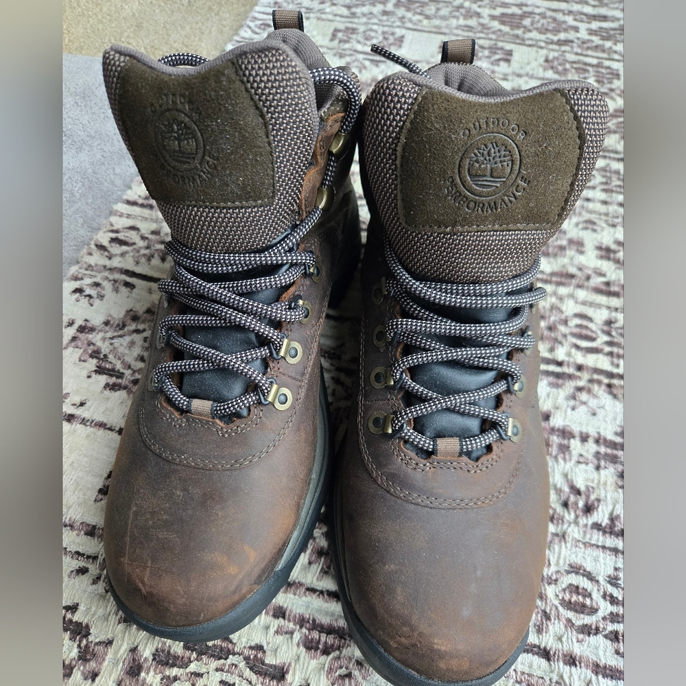 Timberland Men's 9W Brown Waterproof Hiking Boots
